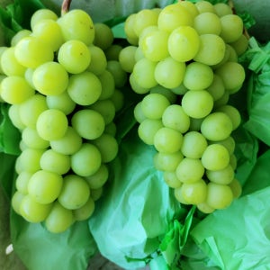 [프리미엄] 설선물 고당도 샤인머스켓 고품질 선물용 가정용 2kg 4kg