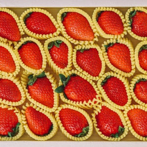 한 박스로 즐기는 4종 딸기 설향·비타베리·금실·핑크캔디 700g