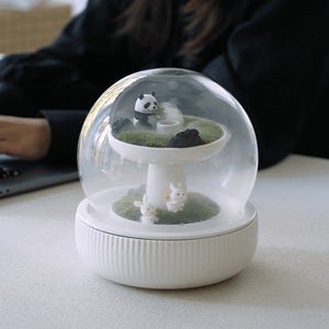 집들이선물 감성 인테리어 오브제 테라리움 신혼집 결혼축하 선물 들꽃