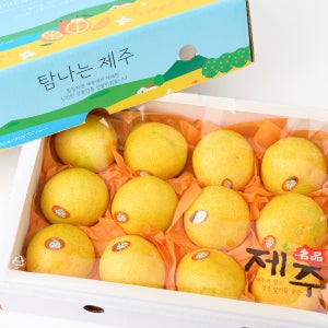 제주 황금향 한라봉,레드향,천혜향,카라향 가정용 선물용 하우스한라봉 꼬마소과 5kg,10kg