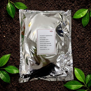 아스파탐 가루 분말 Aspartame 1kg