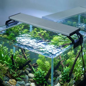 팔라딘 수족관 LED 조명(HS-T 시리즈) 10W, 30cm