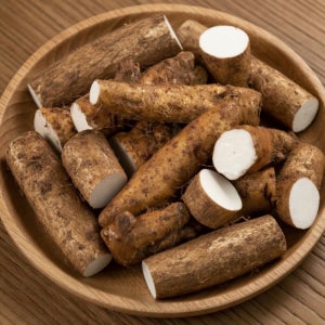 26년 수확 안동 장마 참마 생마 파지 2kg, 1개