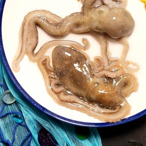 중대낙지 10마리 목포 세발 낙지 무안 산낙지 신안 뻘낙지 중대, 130g, 10개