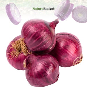 국산 자색양파(적양파) 10kg 대/중/소