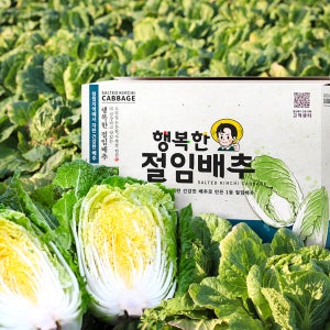강원도 고랭지 행복한 절임배추 김장 절인배추 월동 바잘농산물 일반 10kg 20kg