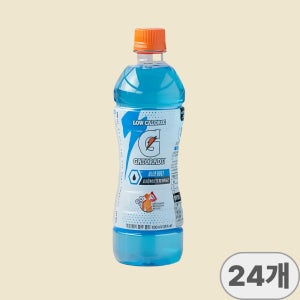 롯데칠성음료 게토레이 블루볼트 600ml x 24개