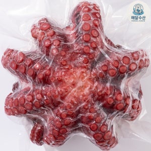 삶은 자숙 문어 숙회 타코야끼 문어숙회 1마리