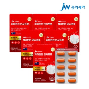 JW중외제약 치아튼튼 인사프로 1500mg 60정, 6개