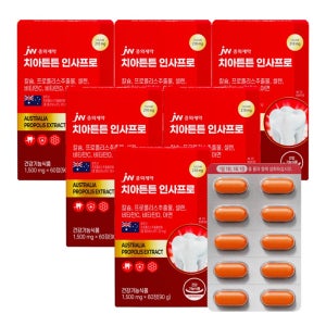 JW중외제약 치아튼튼 인사프로 1500mg 60정, 6개