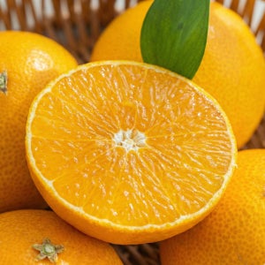 [당도선별] 제주 천혜향 특품 가정용 선물용 설날 명절 과일 선물세트