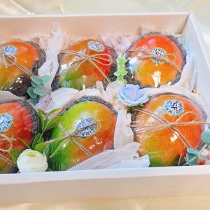 설날 프리미엄 과일 선물 세트 2.9kg, 6개