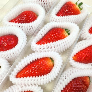 당일수확 프리미엄 논산 킹스베리 딸기 딸기선물