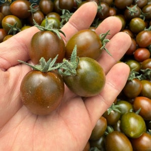 흑대추방울토마토 구성 산지직송 당일수확 신선 과일 500g, 1kg, 2kg