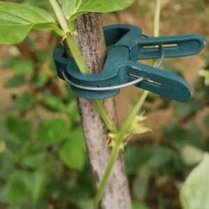 오이집게 고추집게 화분지지대 농작물 농사용 원예용 작물 식물고정