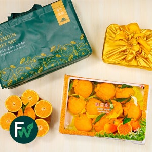 제주도 고당도 한라봉 설 명절 선물세트 산지직송 3kg