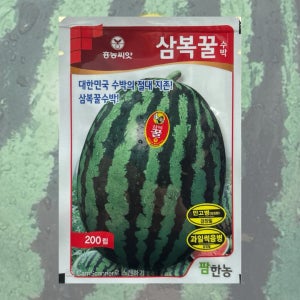 삼복꿀수박 200립 26년포장 팜한농 수박종자