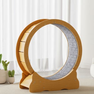 아그다 캣휠 지름87