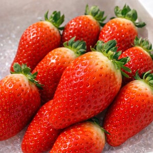 김환국베리팜 논산 고당도 제철 생 딸기 킹스베리