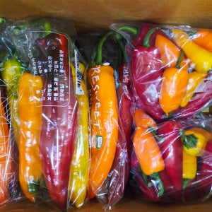 바나나+미니 2종 파프리카 - 3kg