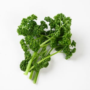 유기농 곱슬 파슬리 15g 생파슬리 파세리 유기농허브 장식용 가니쉬 오일만주스용