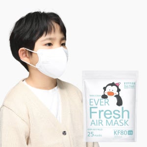 에버프레쉬 KF80 에어 마스크 새부리형 소형 지퍼백 대용량 화이트, 100매