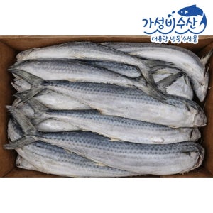 국내산 삼치 3단 25kg 냉동 겨울삼치 대용량 식당용 도매 벌크