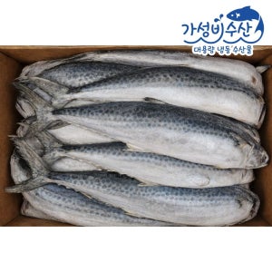 국내산 삼치 2단 25kg 냉동 겨울삼치 대용량 식당용 도매 벌크