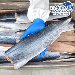 손질 삼치 필렛 10kg 국내산 냉동 순살 업소용 대용량 식당 벌크