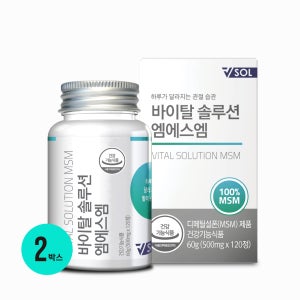 바이탈솔루션 엠에스엠 MSM 120정, 2개