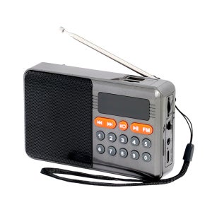 ACRO 효도라디오 휴대용 소형 AFR-101