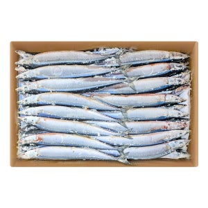 대용량 꽁치 9kg 냉동꽁치 1번 2번 구이용 낚시용 생선