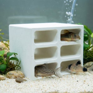 suto세라믹 새우 열대어 산란상 및 플레코 안시 코리도라스 은신처 st-669