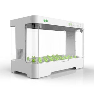 K&Y STORE 싱싱텃밭 가정용 수경재배기 스마트팜 식물재배기 세트 LED 채소 키우기