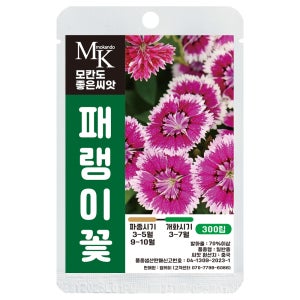 모칸도 씨앗몰 패랭이꽃 씨앗 300립 다년생 꽃씨