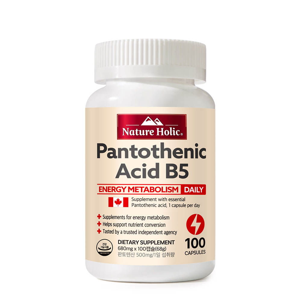 네이처홀릭 <b>판토텐산</b> B5 100캡슐, 1개