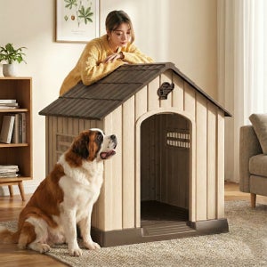 강아지집 애견 하우스 실내 실외 야외 반려동물 대형견집 개집 초대형 베이지