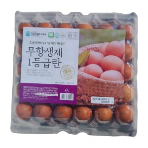 [1등급란/파손보상] JP팜 달걀 계란 특란 30구 60구 더불어웰 무항생제 1등급란