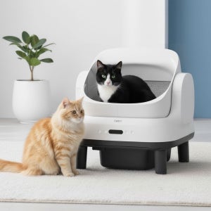 [디클펫] 고양이 자동화장실 오픈형 유즈