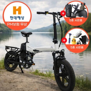 [PM보험] 26년형 퀄리 엑스트론 프로 미니 맥스 M 48V 20A 배달용 전기자전거
