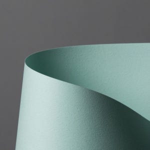 두성 디자이너스칼라 4절 116g (P67) X 100매