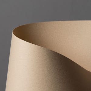 두성 디자이너스칼라 4절 116g (N13) X 100매