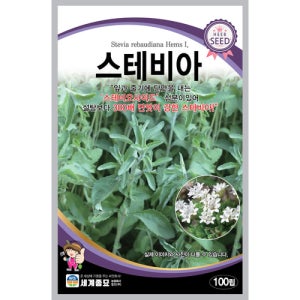 스테비아 100립 설탕보다 300배 단맛이 강한 스테비아