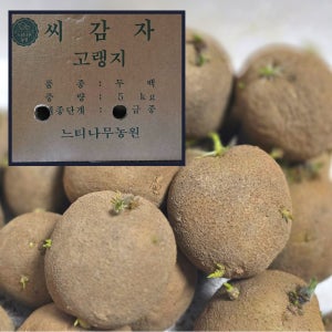씨감자 강원도 정선 두백씨감자 보급종 종자 1kg 5kg 10kg 20kg