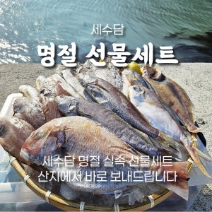 자연산 국산 반건조생선 세트 선물 민어 병어 참돔 조기 서대 삼치 명절 부모님 제수용 설