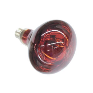 MESHOP 욕실 히터 램프 적색 열기 온도조절 안전성 인테리어 타이머