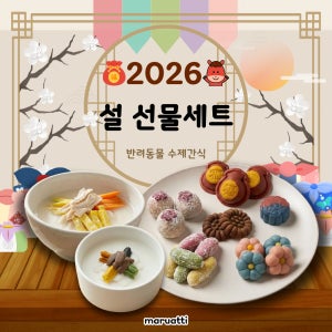 (예약)2026 설날 선물세트-강아지 수제간식 반려동물간식 설날선물세트 특식 기호성 설맞이