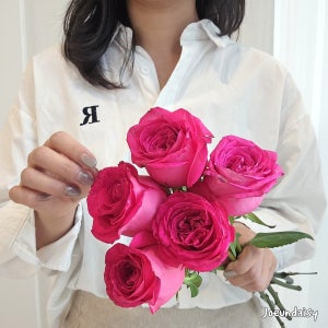 좋은데이지 장미꽃한다발 와이프선물꽃 양재꽃시장 꽃배달싼곳