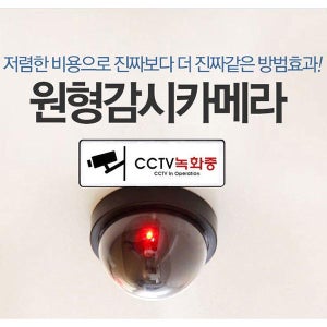 돔형 모형 감시카메라