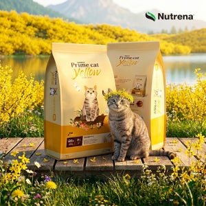 뉴트리나 길고양이사료 대용량 20kg 옐로우